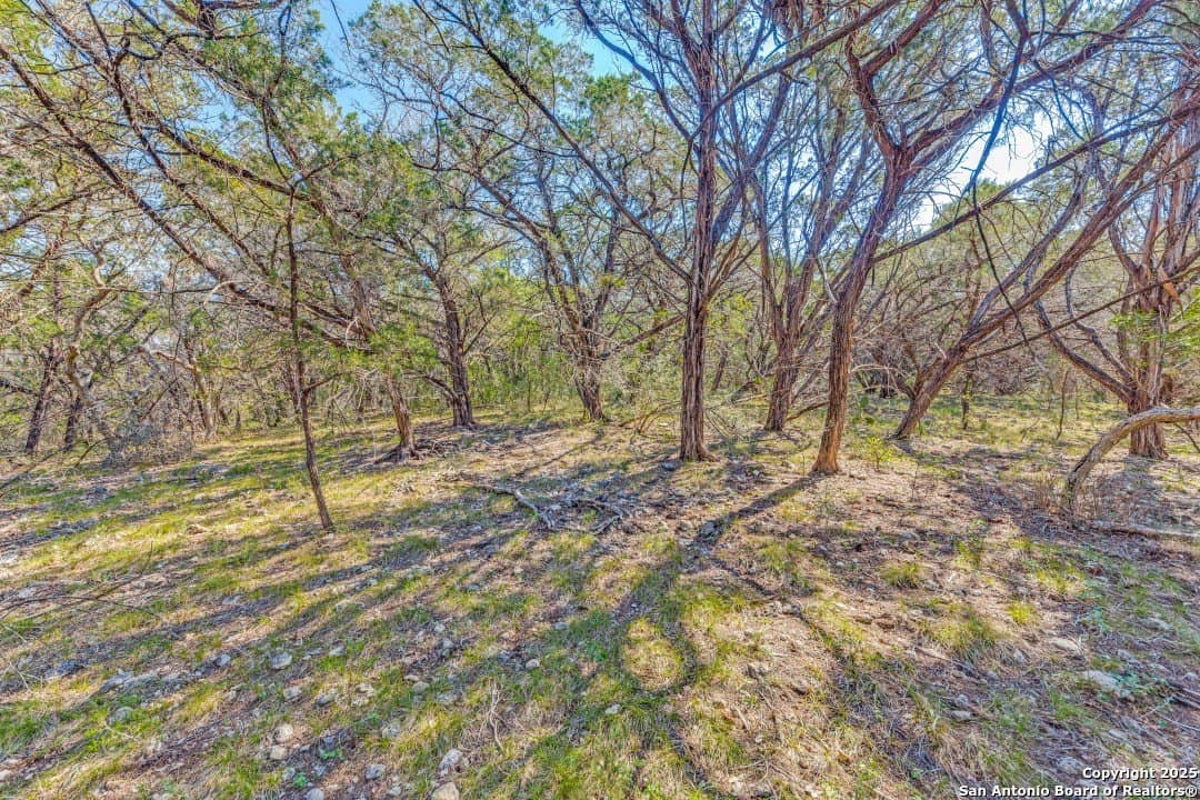 1.6 acres in Medina County - photo 2