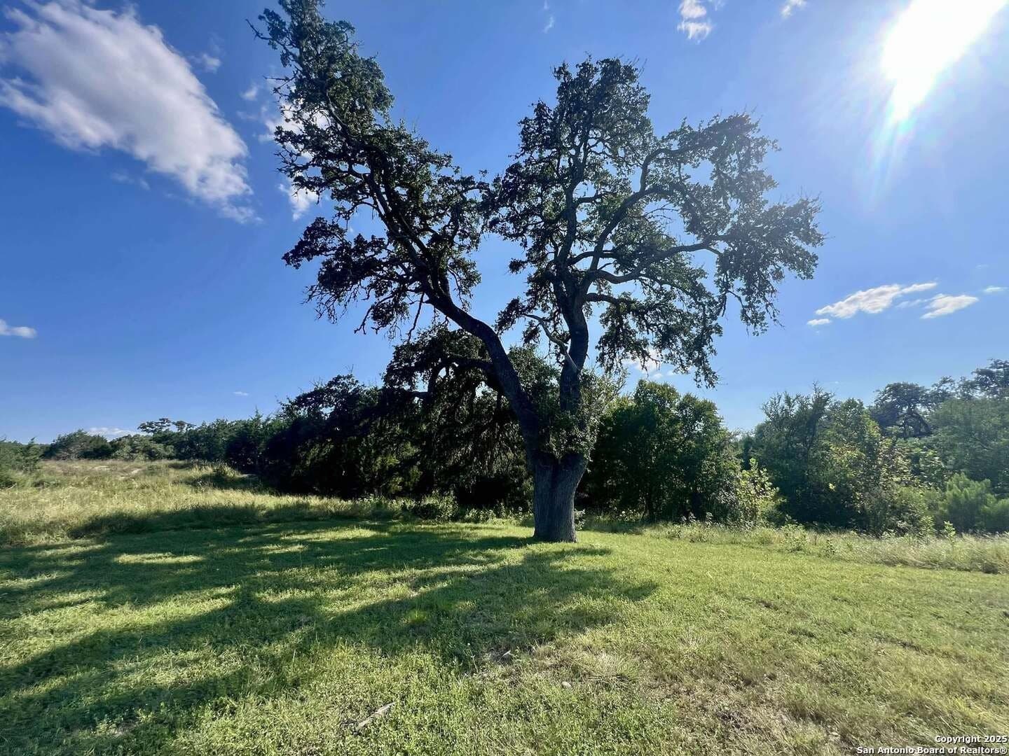 11.01 acres in Bandera County - photo 13
