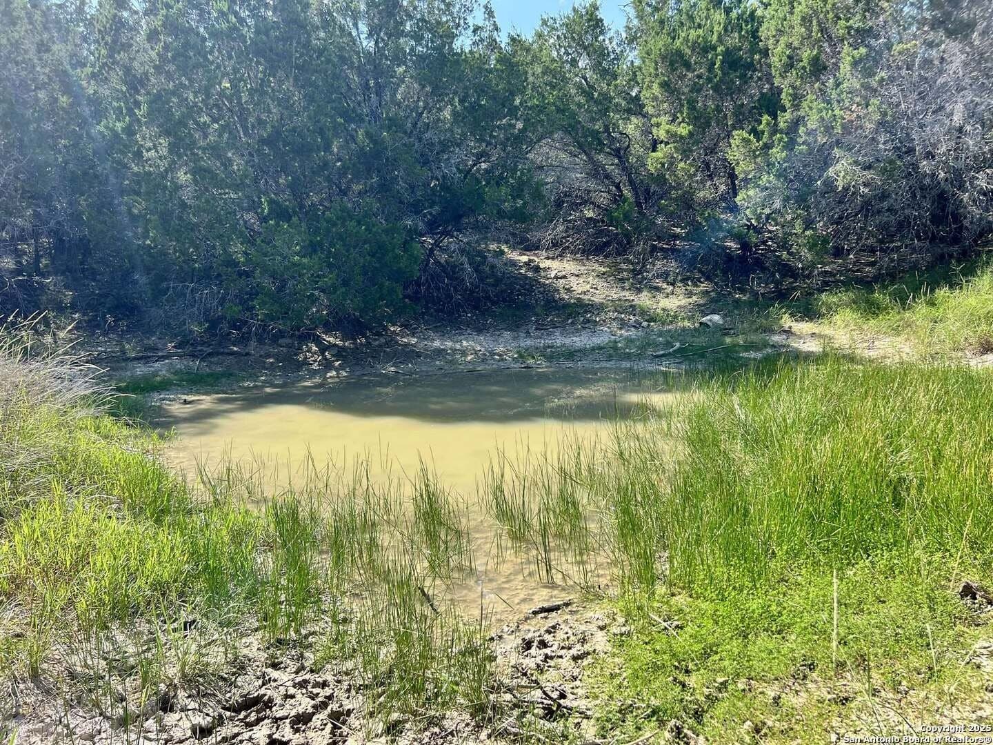 11.01 acres in Bandera County - photo 9