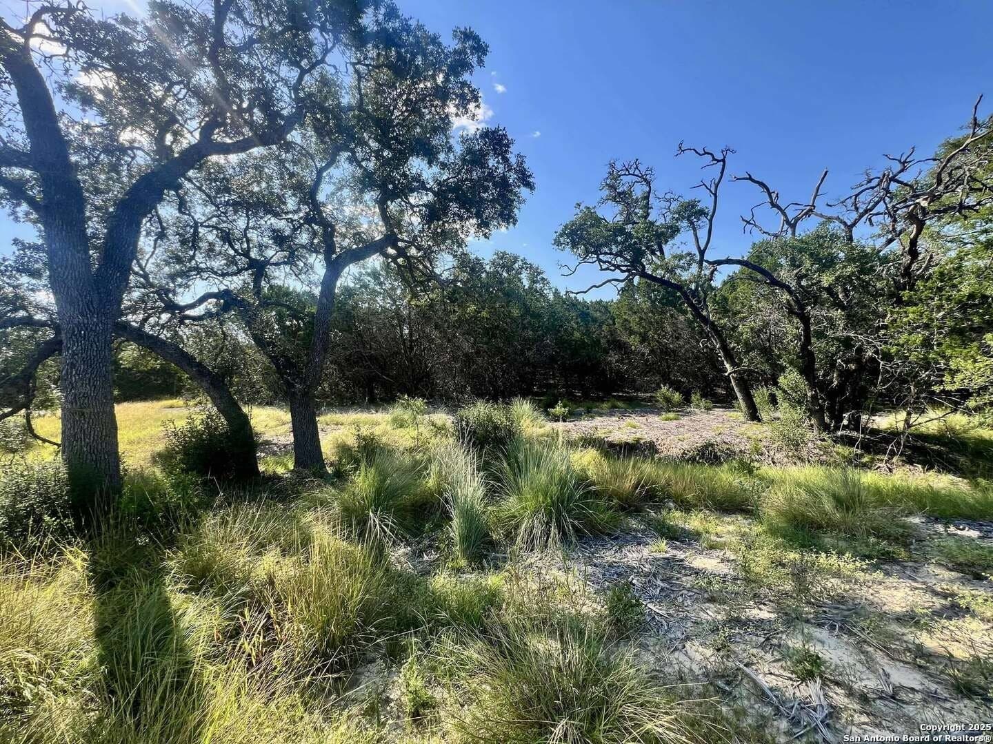 11.01 acres in Bandera County - photo 15