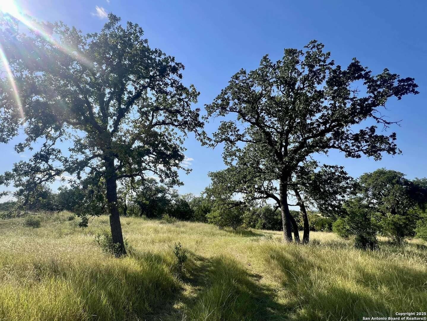 11.01 acres in Bandera County - photo 14