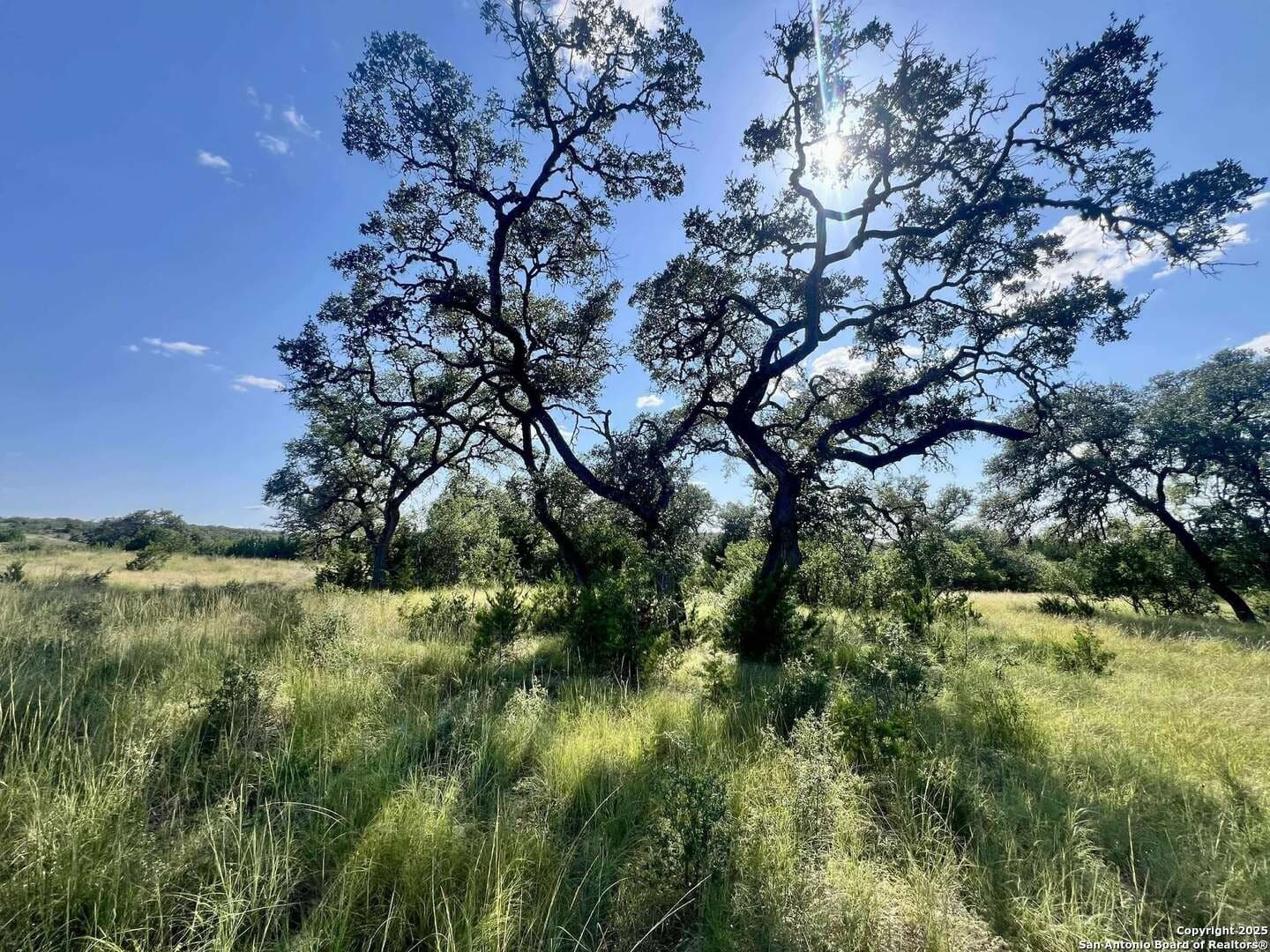 11.01 acres in Bandera County - photo 12