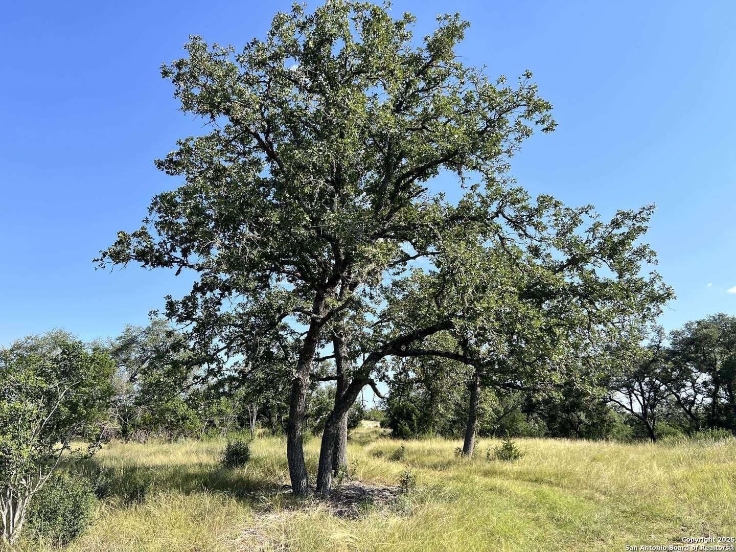 11.01 acres in Bandera County - photo 16