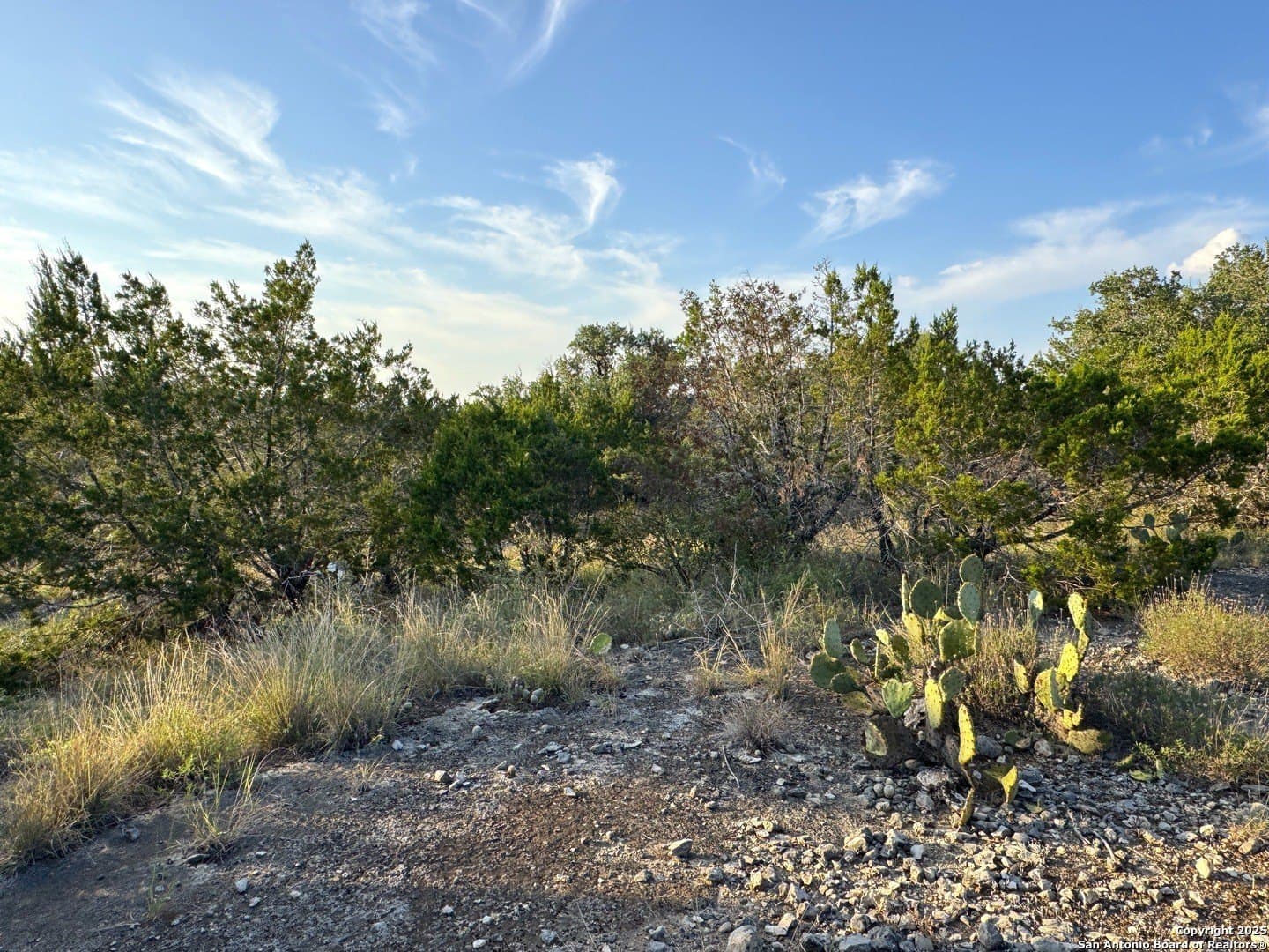 0.69 acres in Comal County - photo 4