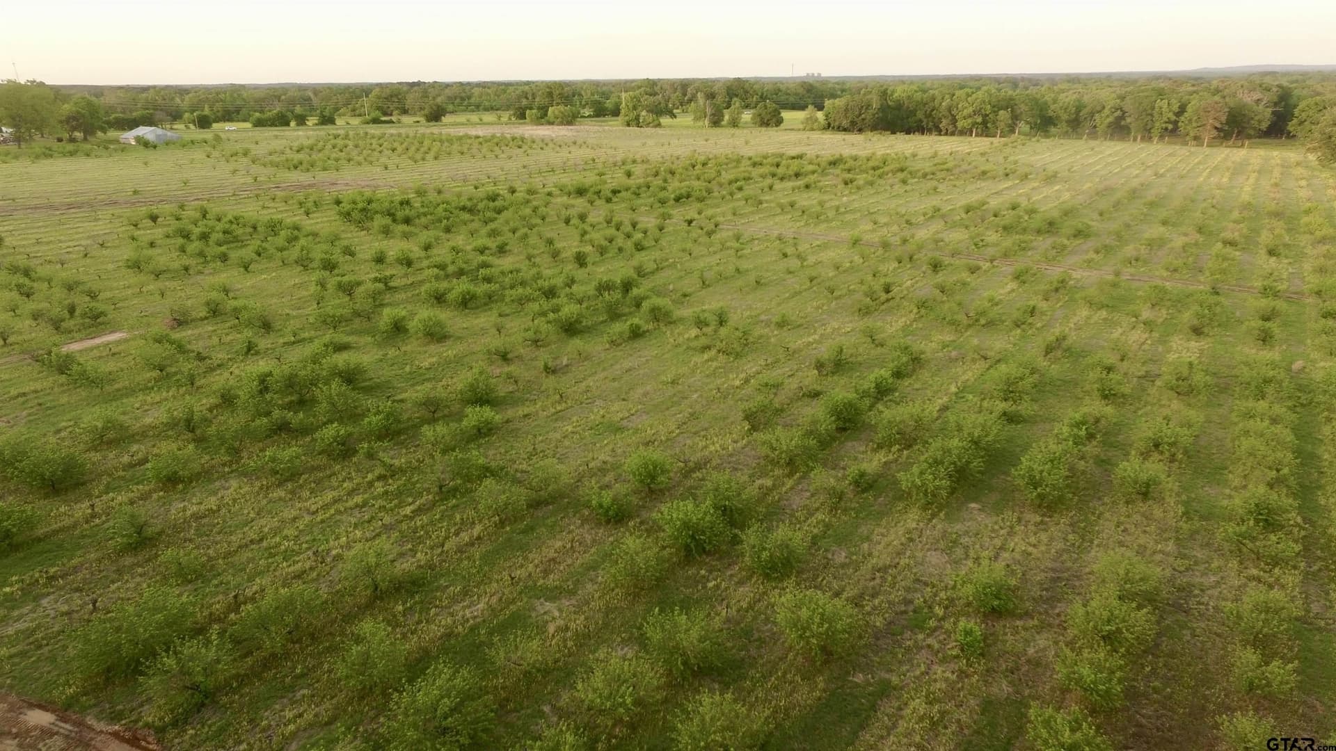 0.8 acres in Camp County - photo 2
