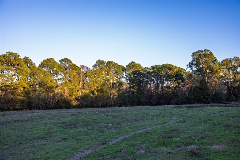 189.17 acres in Rusk County - photo 20