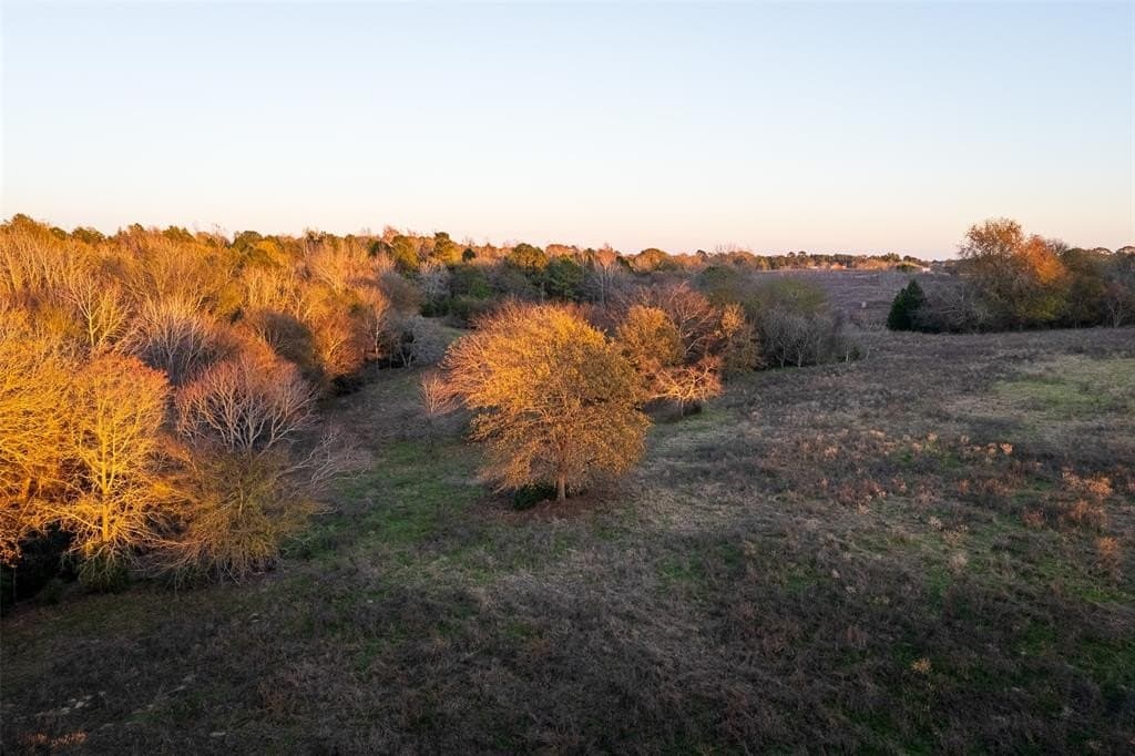189.17 acres in Rusk County - photo 5