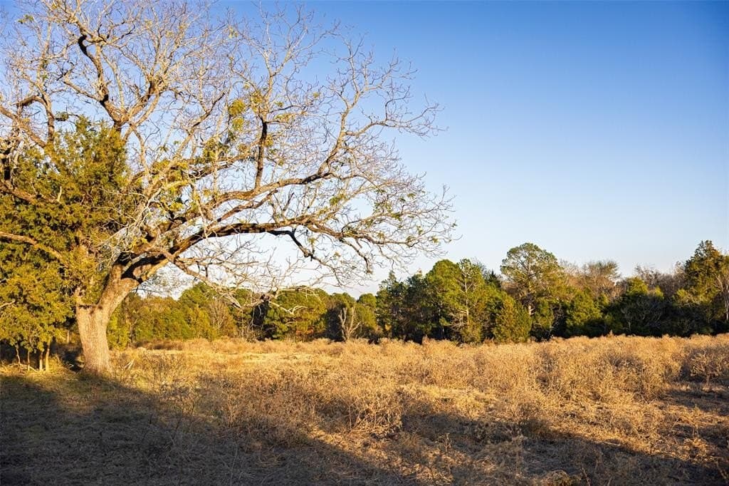 189.17 acres in Rusk County - photo 32