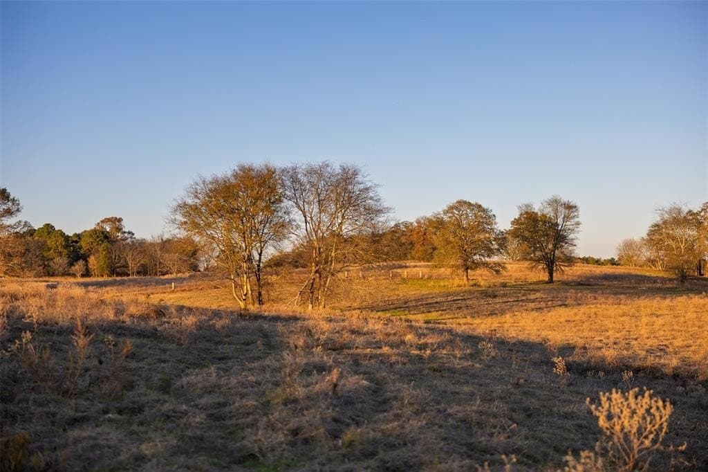 189.17 acres in Rusk County - photo 28