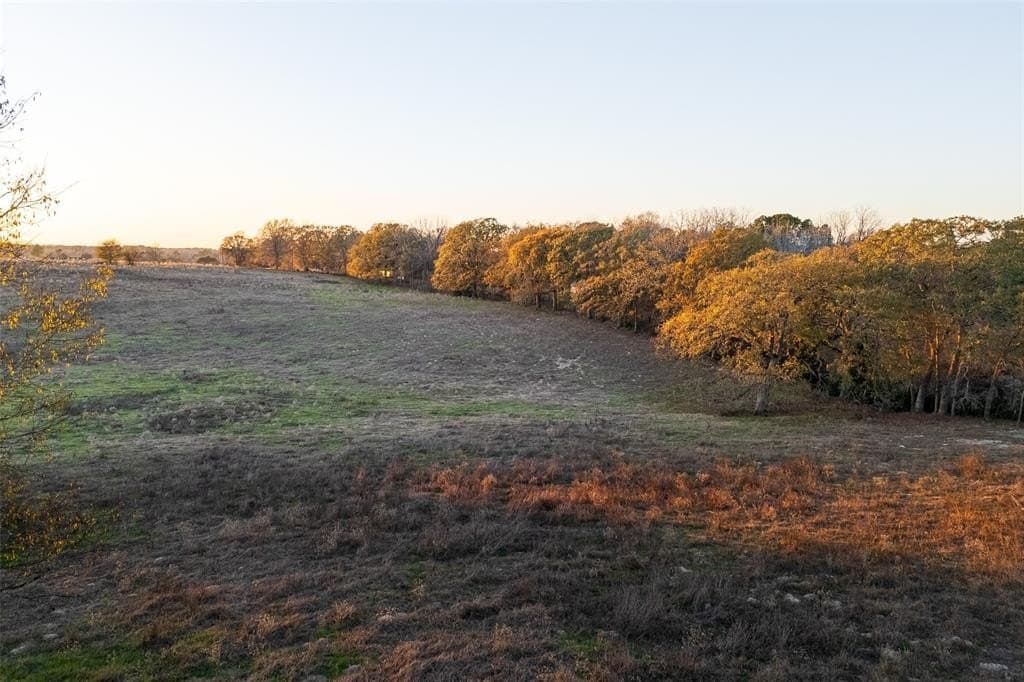 189.17 acres in Rusk County - photo 4