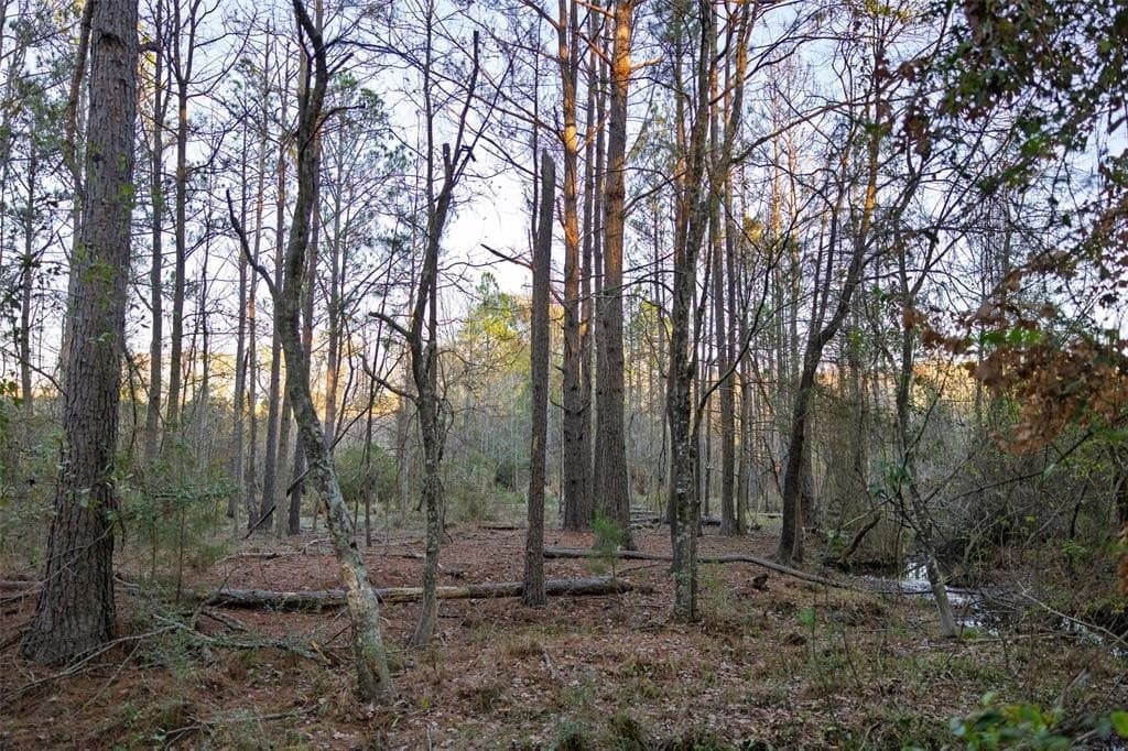 189.17 acres in Rusk County - photo 11