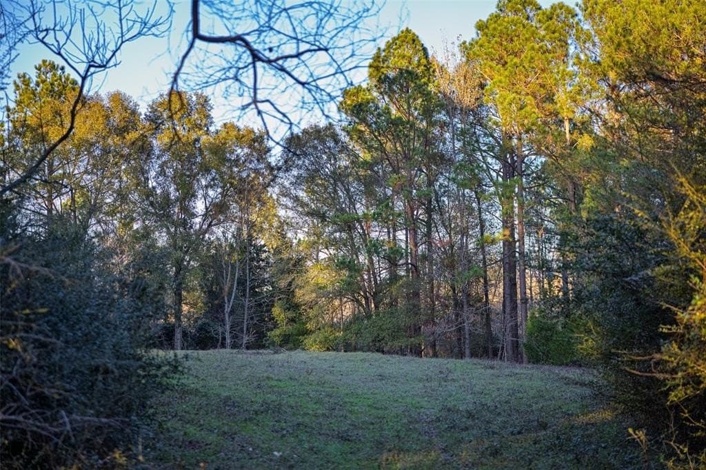 189.17 acres in Rusk County - photo 9