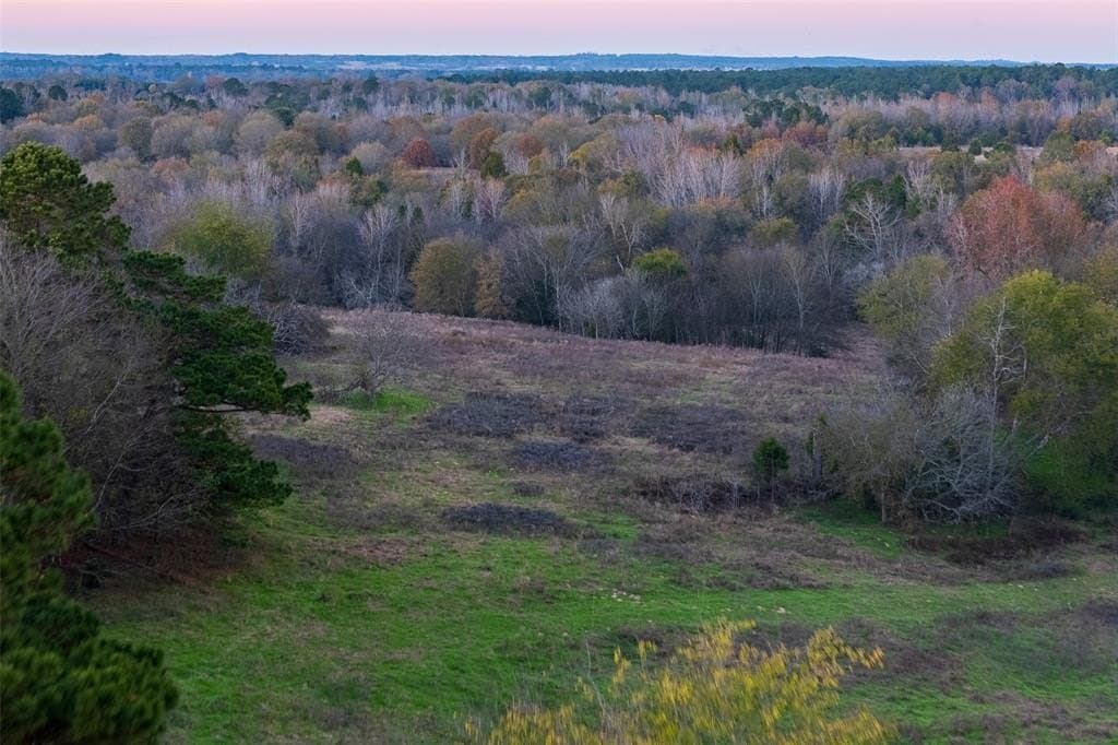189.17 acres in Rusk County - photo 38
