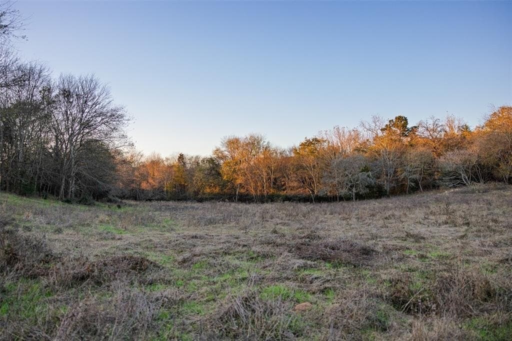 189.17 acres in Rusk County - photo 37
