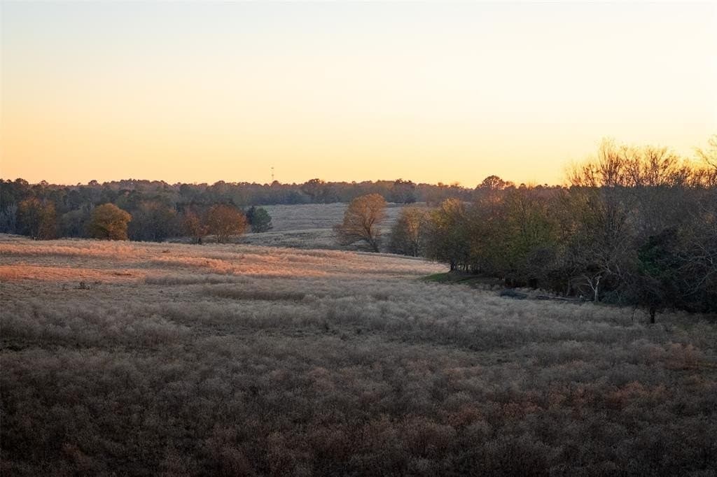 189.17 acres in Rusk County - photo 6
