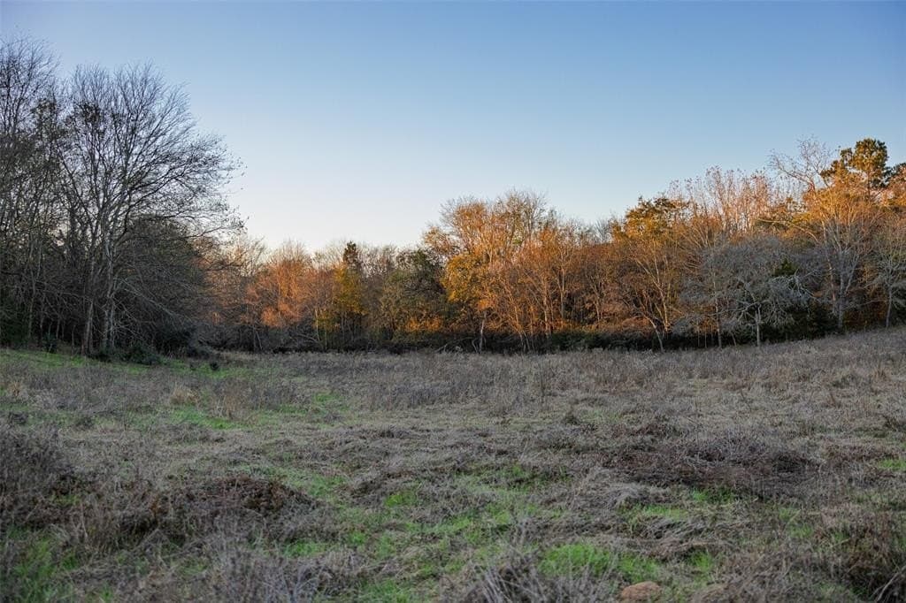 189.17 acres in Rusk County - photo 22