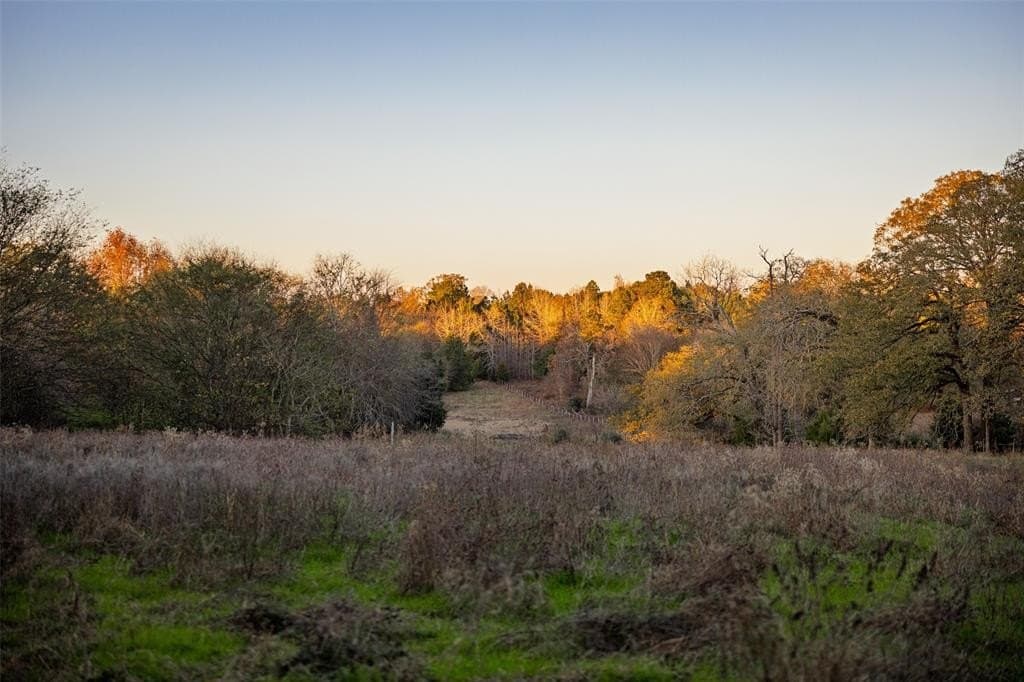 189.17 acres in Rusk County - photo 35