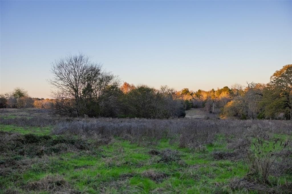189.17 acres in Rusk County - photo 36
