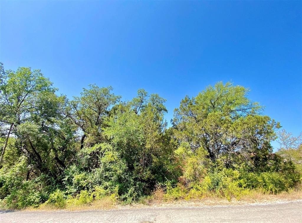 0.05 acres in Hood County - photo 2