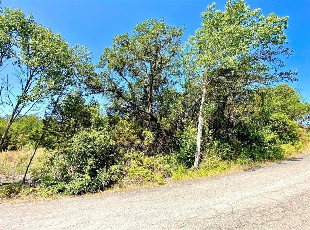 0.05 acres in Hood County - photo 4