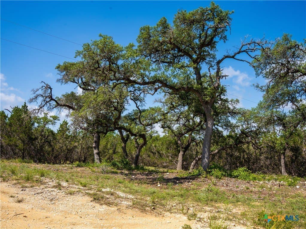 12.38 acres in Hays County - photo 13