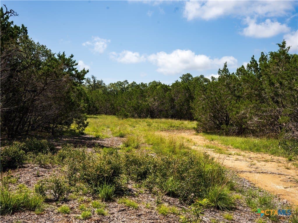 12.38 acres in Hays County - photo 11