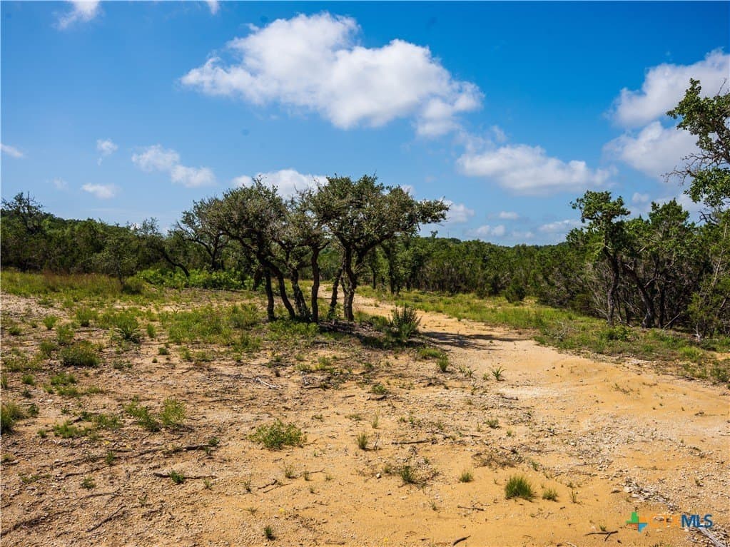 12.38 acres in Hays County - photo 7