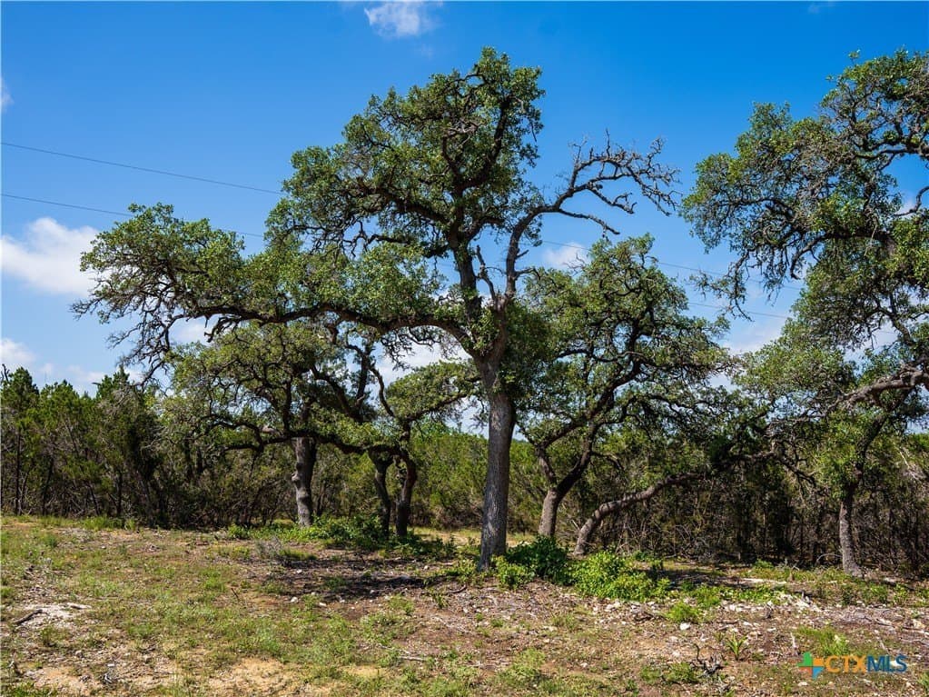 12.38 acres in Hays County - photo 6