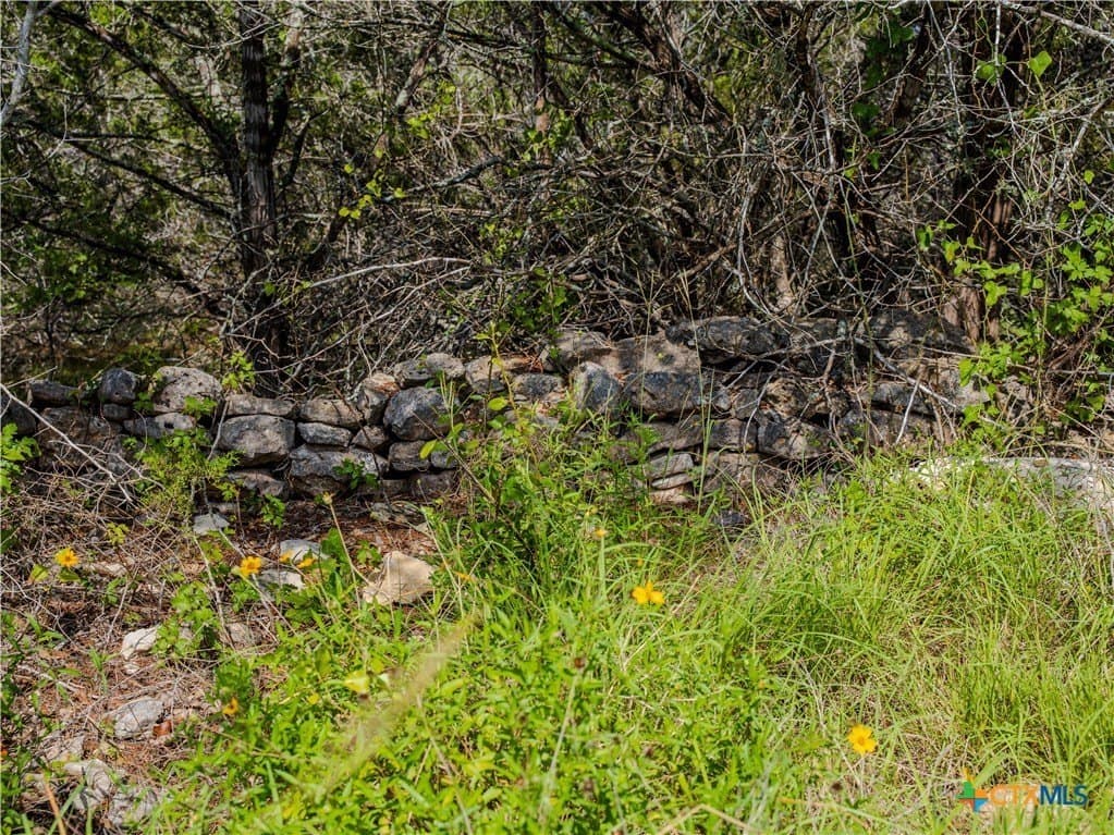 12.38 acres in Hays County - photo 4