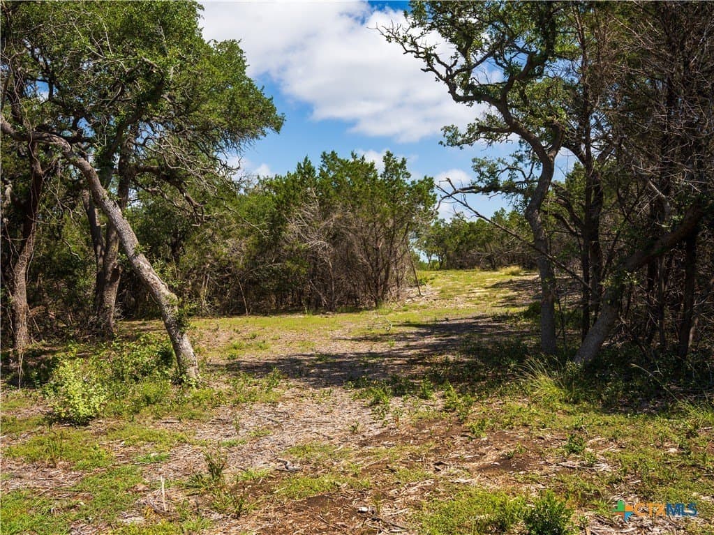 12.38 acres in Hays County - photo 9