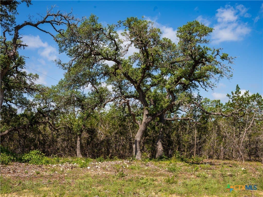 12.38 acres in Hays County - photo 5