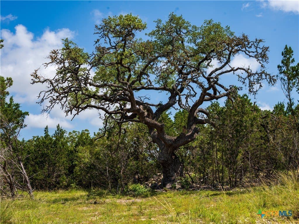 12.38 acres in Hays County - photo 2
