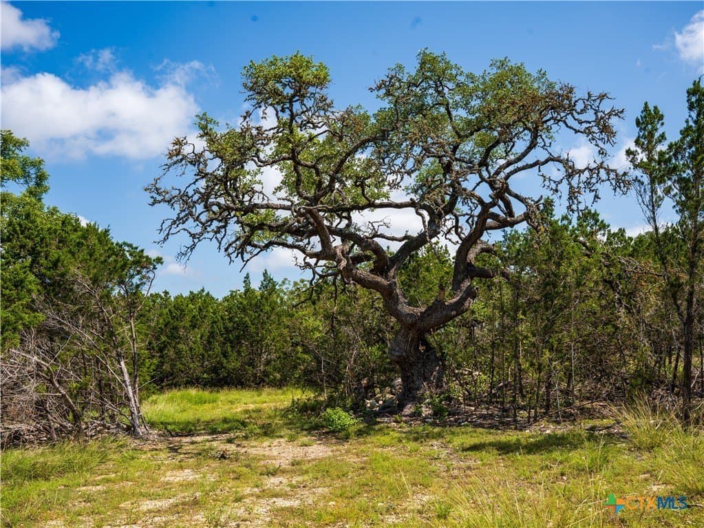 12.38 acres in Hays County - photo 3
