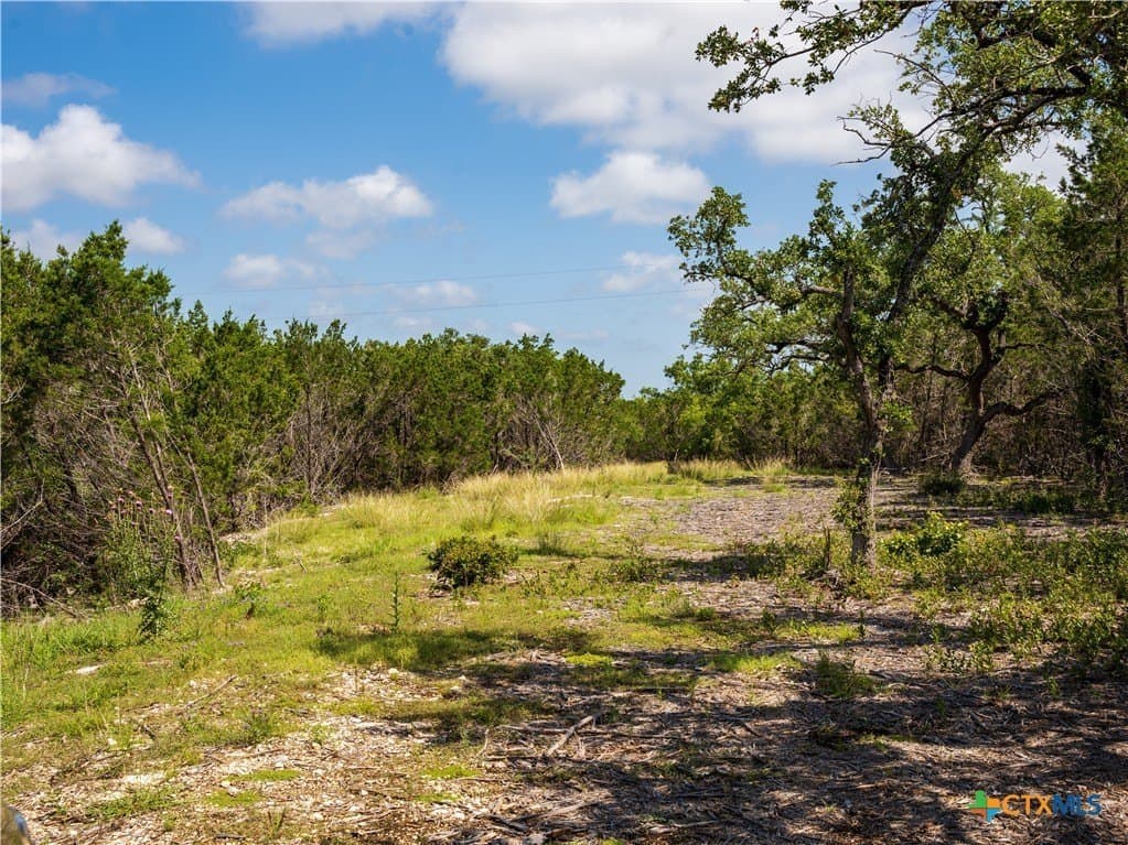 12.38 acres in Hays County - photo 10