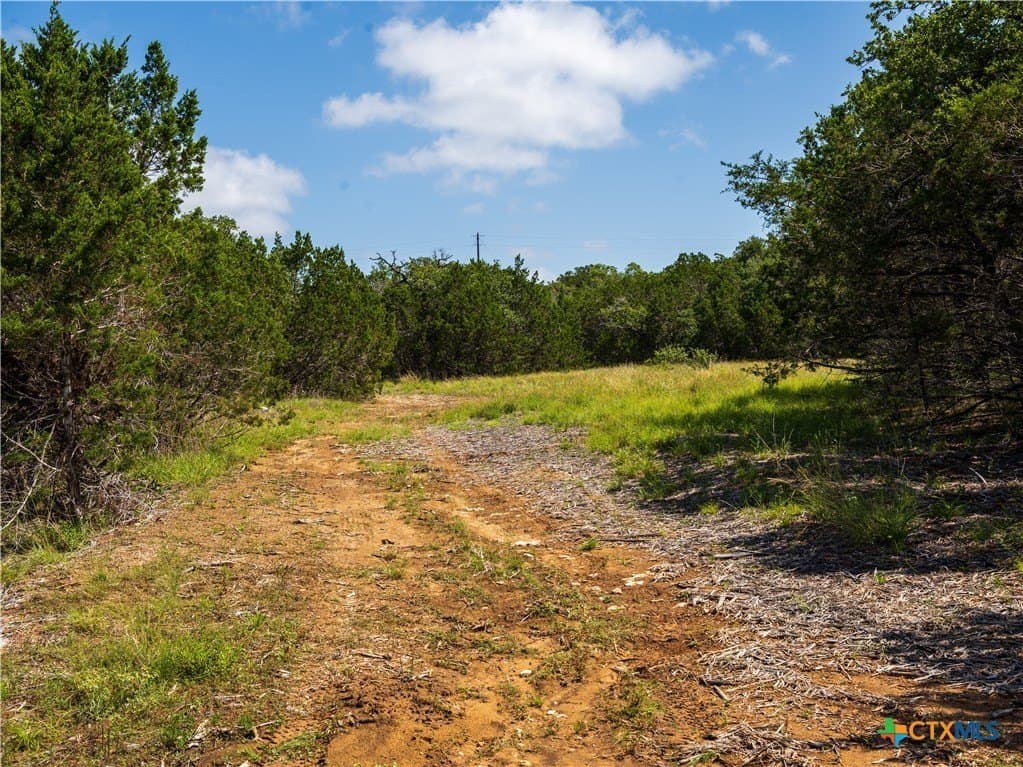 12.38 acres in Hays County - photo 8