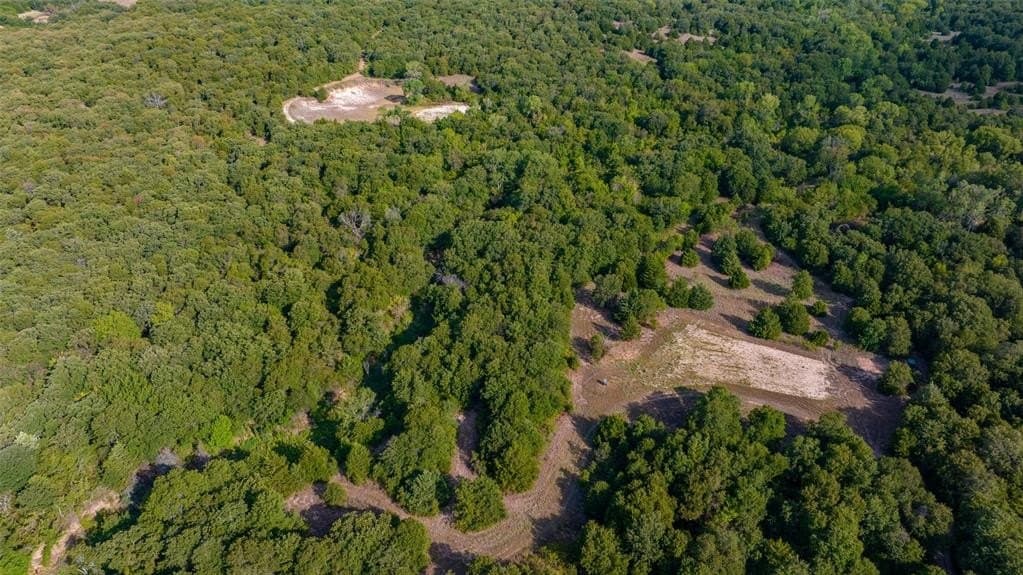 151 acres in Montague County - photo 4