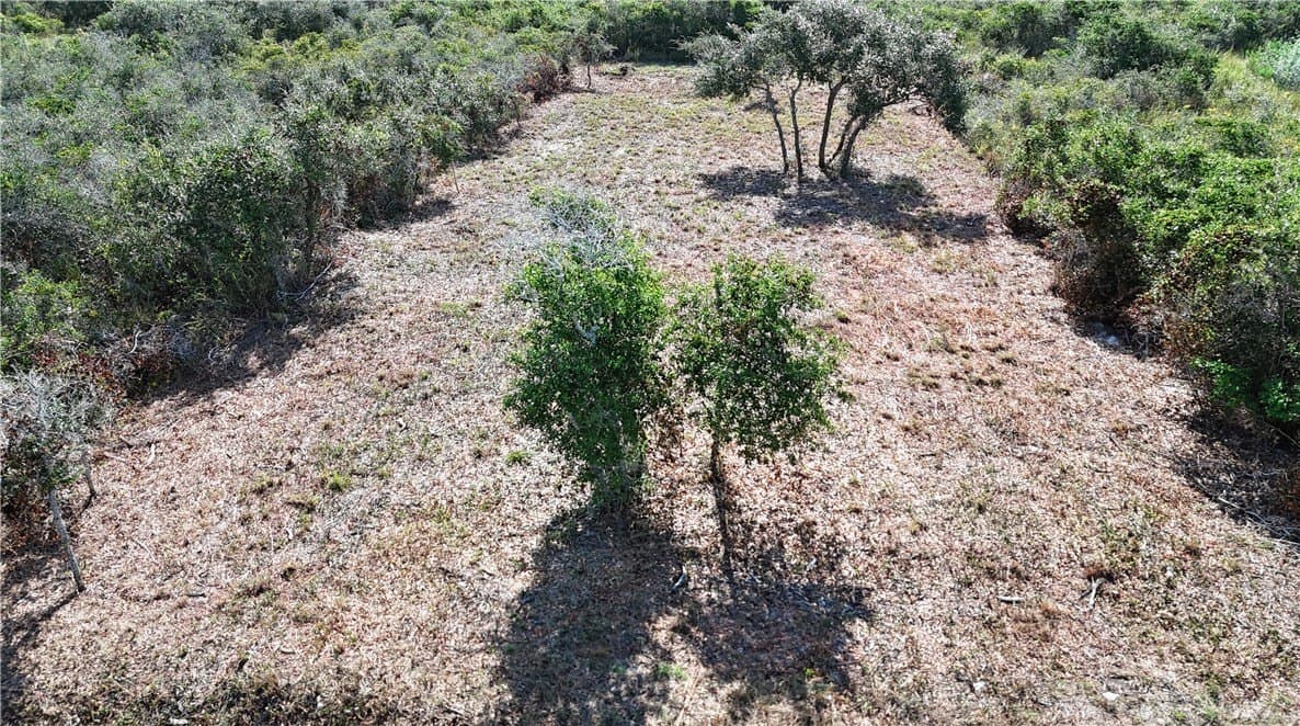 0.16 acres in San Patricio County - photo 2