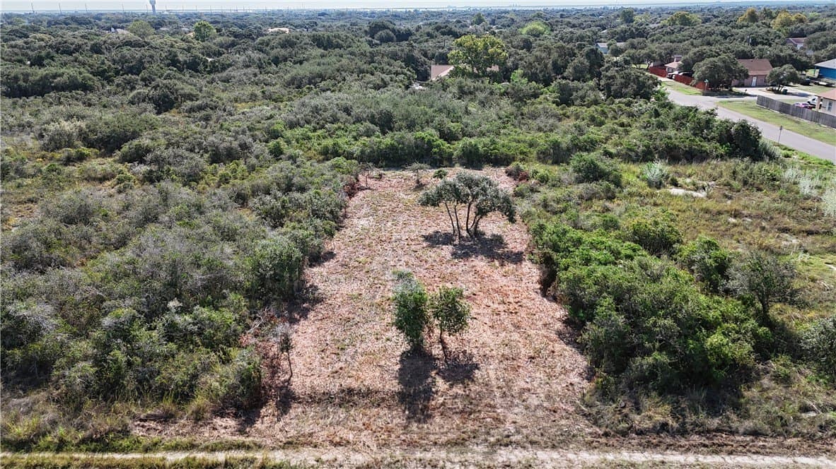 0.16 acres in San Patricio County - photo 4