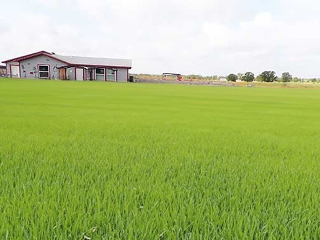1 acres in Bastrop County - photo 3