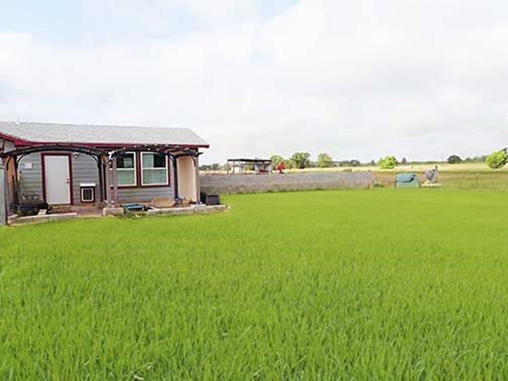 1 acres in Bastrop County - photo 4