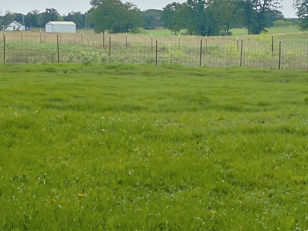 1 acres in Bastrop County - photo 20