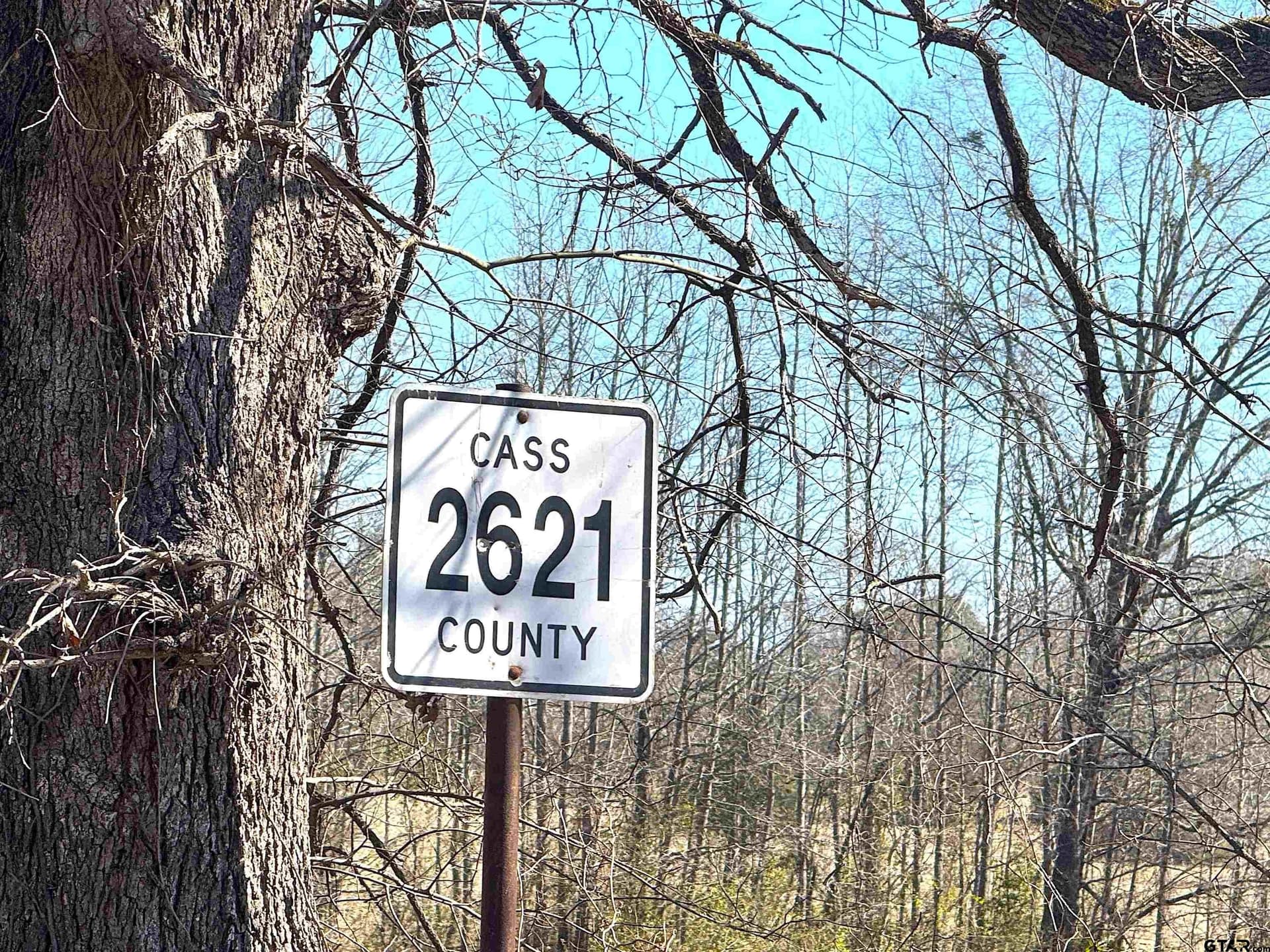 11.64 acres in Cass County - photo 12