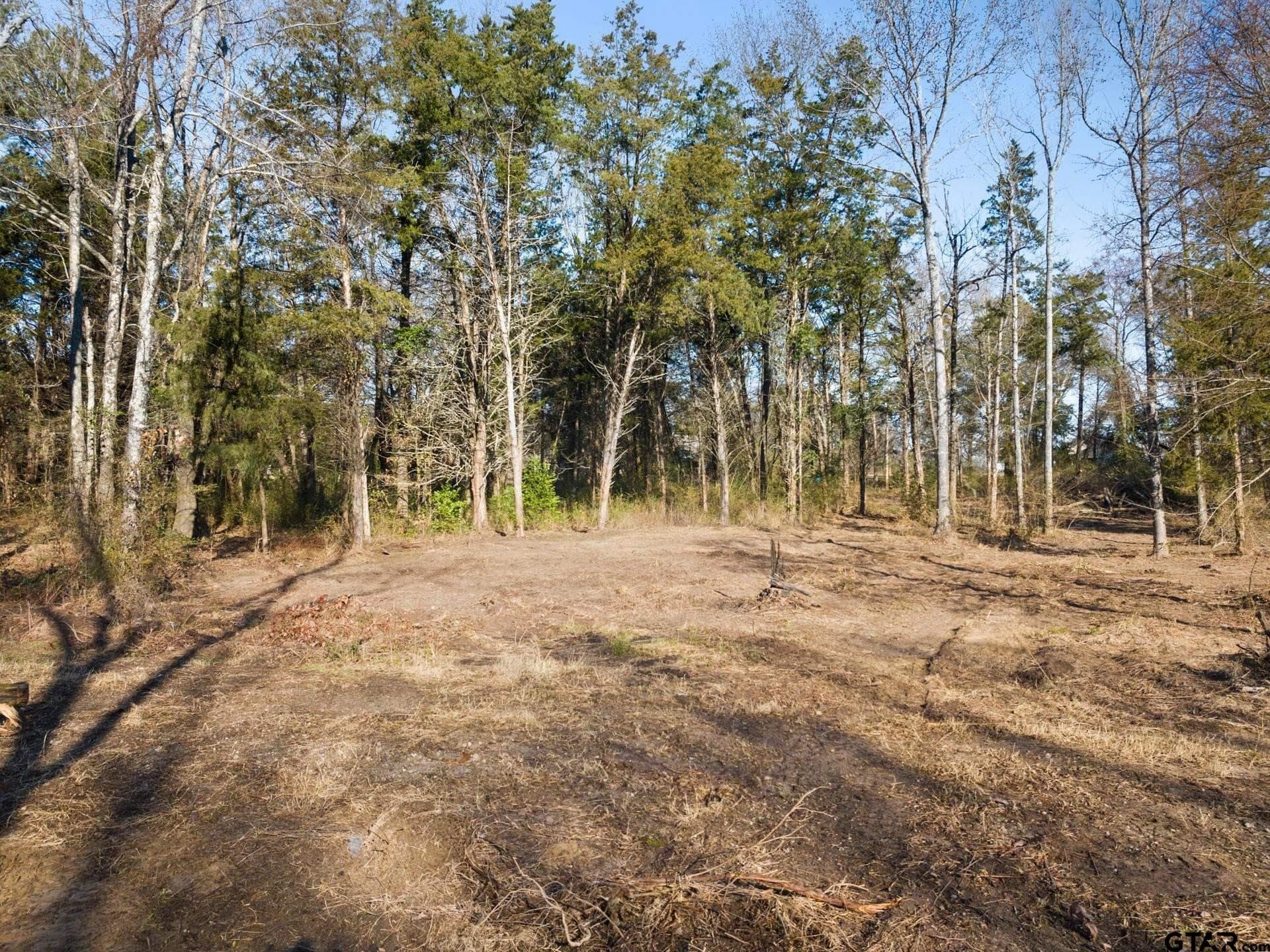 4.1 acres in Titus County - photo 9