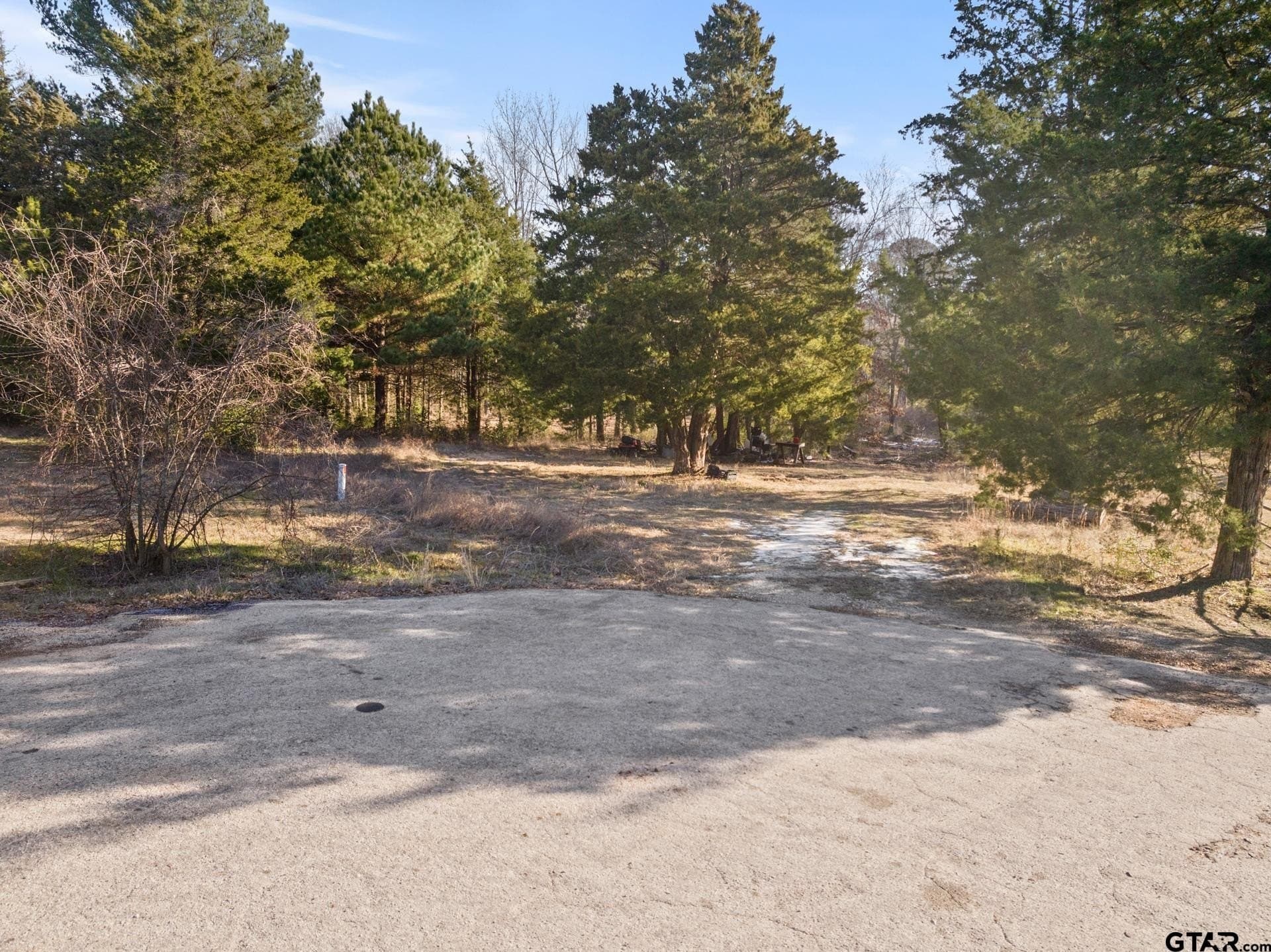 4.1 acres in Titus County - photo 12