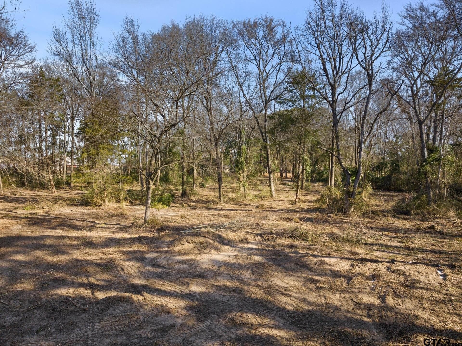 4.1 acres in Titus County - photo 11