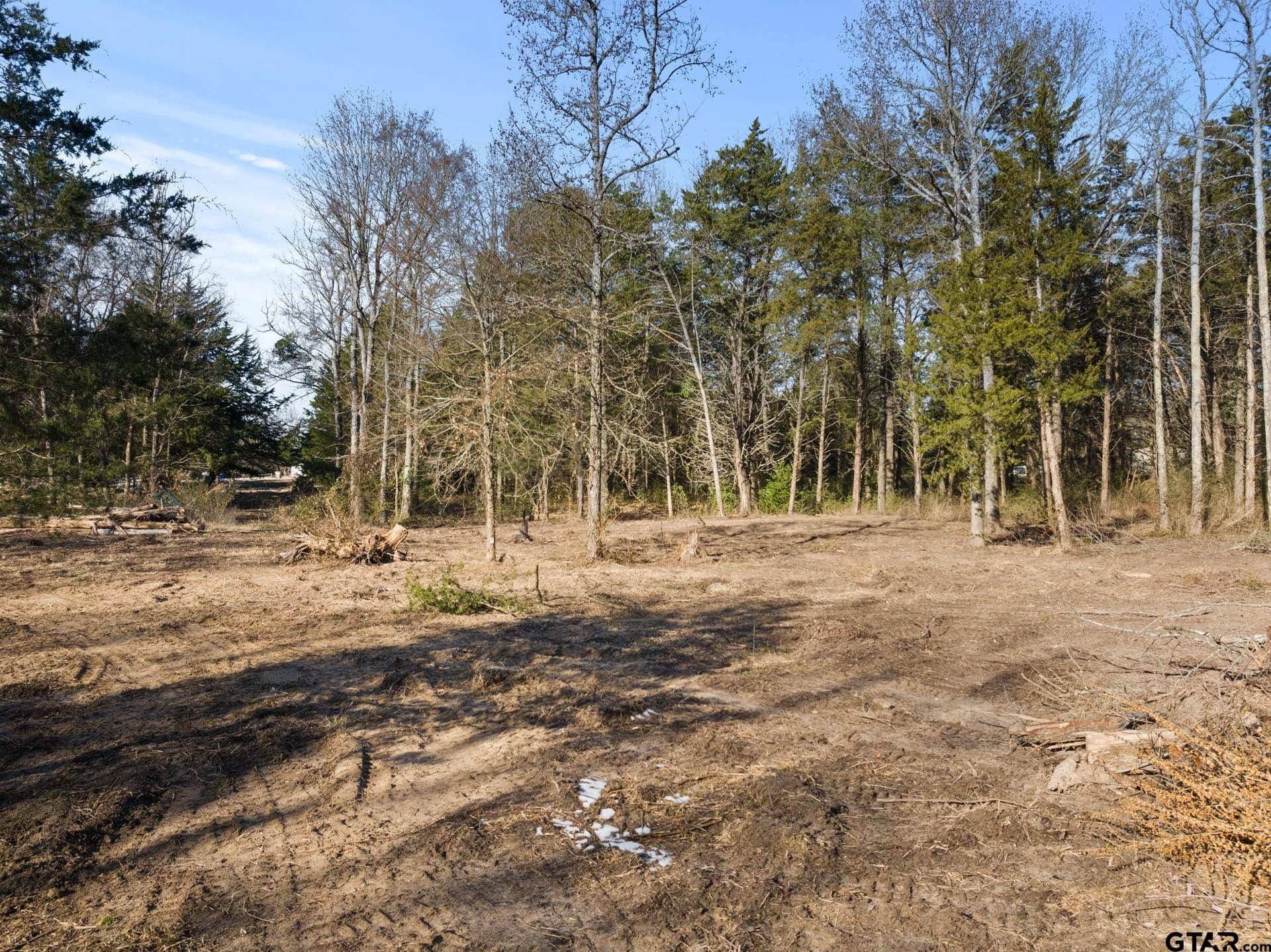 4.1 acres in Titus County - photo 10