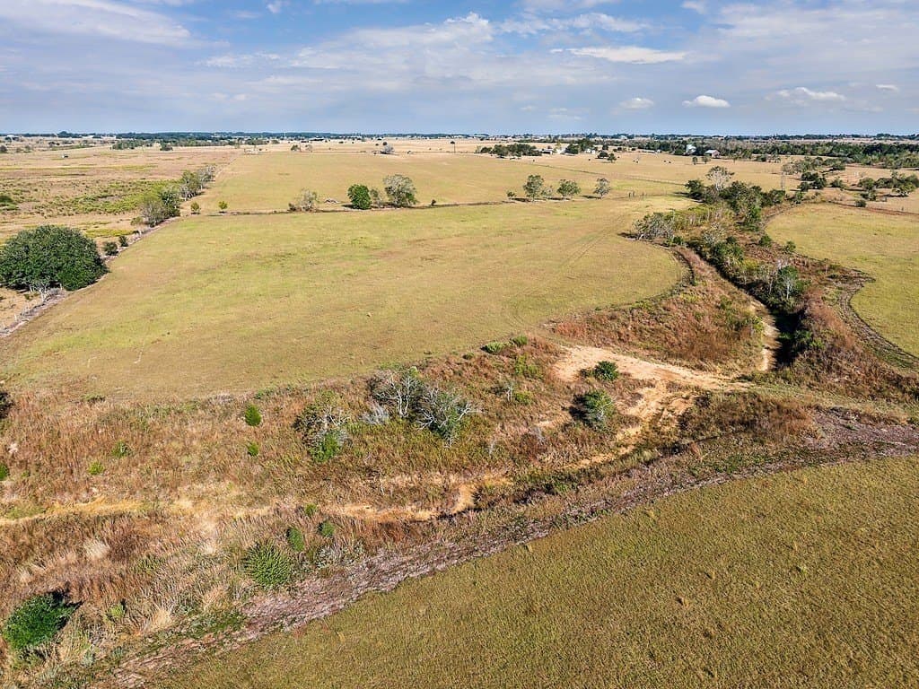 55.82 acres in Austin County - photo 5