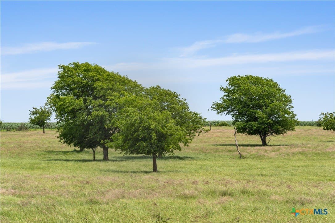 152 acres in Coryell County - photo 4