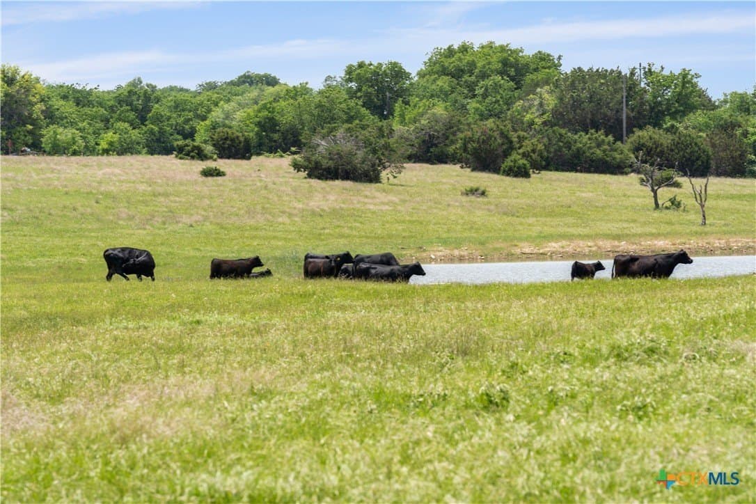152 acres in Coryell County - photo 5