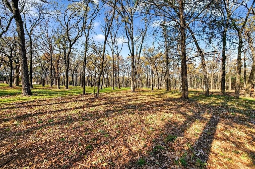 1.4 acres in Grayson County - photo 16